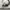 VANS Streetwear Skater Sneakers Pria white black photo 2
