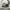 VANS Streetwear Skater Sneakers Pria white black photo 1
