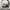VANS Streetwear Skater Sneakers Pria White Black