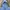 Uniqlo Streetwear Sportswear Track jacket Wanita blue photo 4