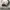 VANS Streetwear Skater Sneakers Pria white black photo 1