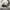 VANS Streetwear Skater Sneakers Pria White Black