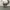 VANS Streetwear Skater Sneakers Pria white black photo 3