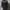 Nike Sportswear Parka Pria black photo 1