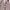 Coquette Babydoll dress Wanita pink photo 1