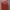 New Era Streetwear Sportswear Track jacket Pria red photo 2