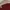 Vintage Casual Sweater Wanita burgundy blue photo 2