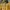 WHO.A.U Vintage Streetwear Jumper Pria yellow photo 2