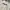 Fila Streetwear Sweatshirt Pria white photo 5