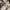 WHO.A.U Streetwear Emo Hoody Pria white photo 4