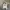 WHO.A.U Streetwear Hoody Pria white photo 1