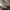 Adidas Streetwear Sneakers Pria gray photo 6