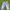 Dominate Vintage Y2K Casual pants Pria silver white photo 1