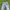 Dominate Vintage Y2K Casual Pants Pria Silver White