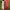 Nike Streetwear Skater Sneakers Pria white red photo 2