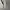 Giordano Streetwear Y2K Hoody Pria gray photo 4