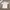 Sportswear Jersey Pria white photo 1