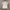 Sportswear Jersey Pria white photo 2