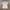 Sportswear Jersey Pria White