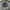 Guess Y2K Casual Parka Pria gray blue photo 6