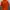 Nike Vintage Jersey Pria orange photo 4