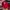 New Era Skater Hat Pria red photo 1