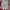 Lacoste Streetwear Casual Windbreaker Pria red photo 5