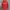 Lacoste Streetwear Casual Windbreaker Pria red photo 1