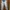 Casual High waisted jeans Wanita multicolor photo 1