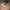 Adidas Streetwear Casual Sneakers Pria cream photo 1