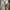 Adidas Streetwear Casual Sneakers Pria cream photo 5