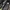 Adidas Streetwear Casual Sneakers Pria cream photo 4