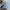 Salomon Gorpcore Sportswear Sneakers Pria silver blue photo 4