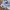 New Balance Sportswear Sneakers Wanita white tan photo 3