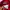 Mizuno Sportswear Windbreaker Pria red photo 4