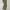 Made in USA Streetwear Casual Casual pants Pria green photo 5