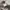 Casual Formal shirt Pria white gray photo 7