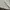 Casual Formal shirt Pria white gray photo 8