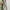 Vintage Casual Harrington jacket Pria khaki photo 6