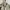 Vintage Casual Harrington jacket Pria khaki photo 3