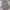 Streetwear Grunge Casual shirt Pria multicolor photo 1