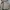 Avirex Vintage Y2K Parka Pria tan photo 3