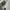 Converse Casual Sneakers Pria white photo 8