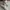 Converse Casual Sneakers Pria white photo 3