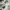 Converse Casual Sneakers Pria white photo 7