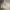 Russell Athletic Y2K Hoody Pria gray photo 1