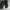 Converse Streetwear Skater Sneakers Pria black gray photo 1