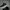 Converse Streetwear Skater Sneakers Pria black gray photo 4