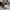 Converse Streetwear Skater Sneakers Pria brown cream photo 3