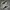 Converse Streetwear Skater Sneakers Pria brown cream photo 2